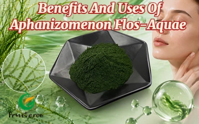 Aphanizomenon Flos{0}}Aquae Powder'ın Doğal Cilt Bakımı ve Fonksiyonel Gıdala...