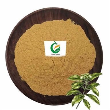 Eucommia ulmoides özü