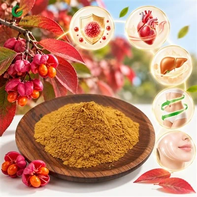 Euonymus Alatus Özü
