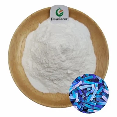 Lactobacillus Bulgaricus Tozu