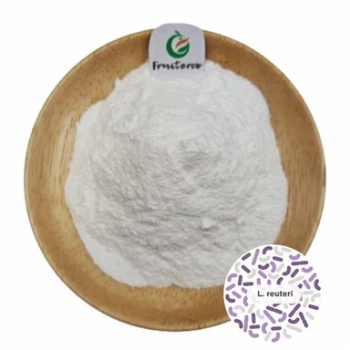 Lactobacillus Reuteri Tozu