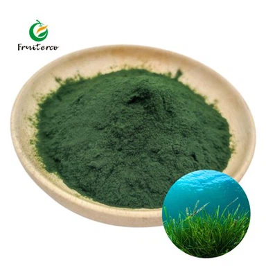 Organik spirulina tozu