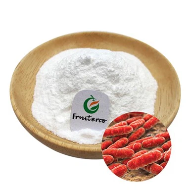 Probiyotik Lactobacillus Rhamnosus Tozu